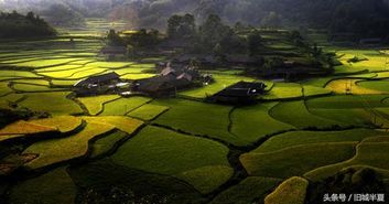 湖南旅游 大盘点张家界那 醉 人的美景