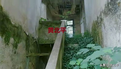 湖南张家界湘陵机械厂旧址,代号3028,曾是我国3大航空基地之一