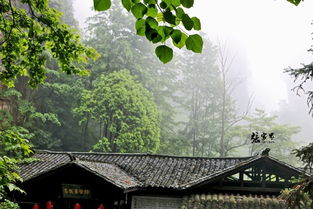 张家界,跨越千山万水来见你 4天,300图,1