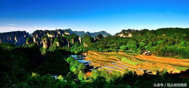 为什么去张家界旅游的人这么多