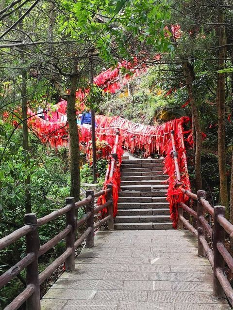 乌龙寨门票,乌龙寨游玩攻略 360地图