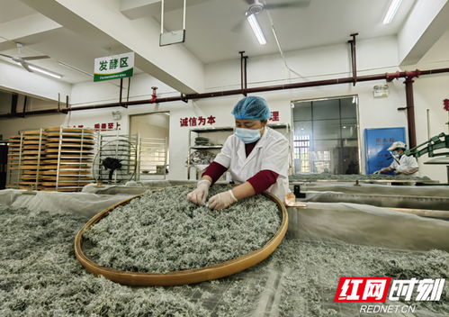 湖南张家界 茅岩河镇那间莓茶 梦工厂