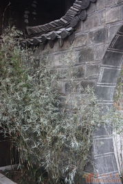 张家界田家老院子 湘西古建筑的活态记忆